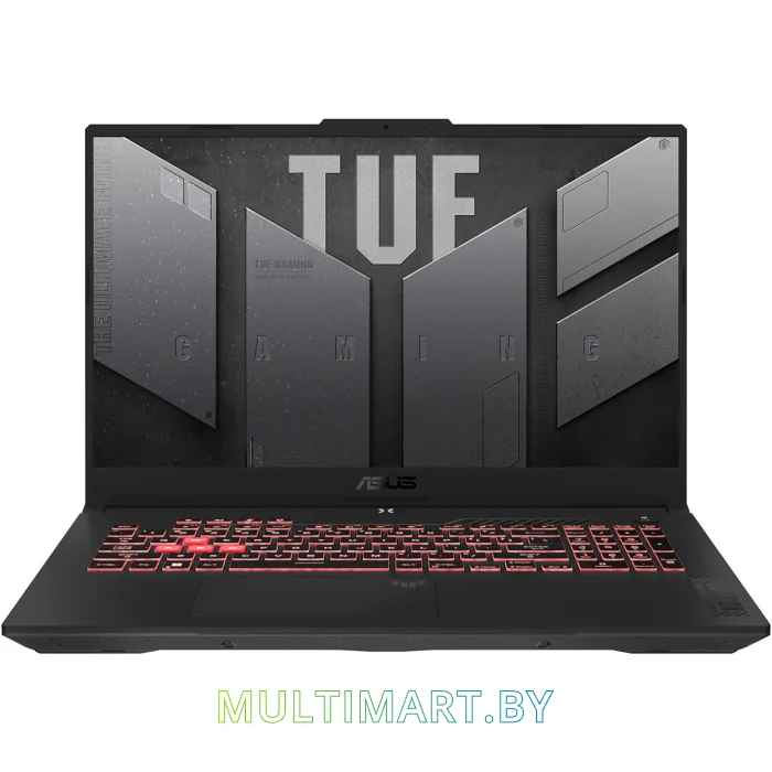 Игровой ноутбук ASUS TUF Gaming A17 2023 FA707NUR-HX057 (90NR0JL5-M002W0)